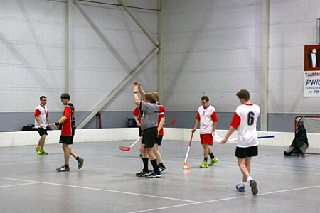 &copy; copyright SiPS Salibandy