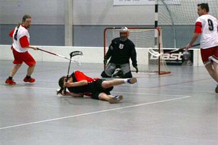 &copy; copyright SiPS Salibandy