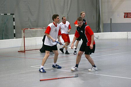 &copy; copyright SiPS Salibandy