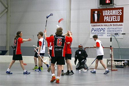 &copy; copyright SiPS Salibandy